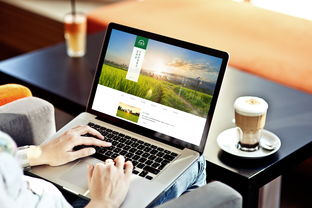 大家发食品网页设计 打造视觉与功能并重的线上美食空间